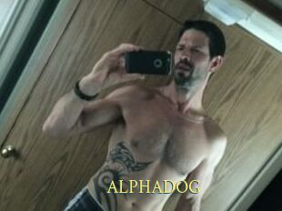 ALPHADOG