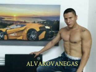 ALVAROVANEGAS