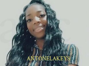 ANTONELAKEYS