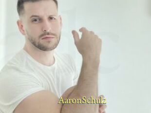AaronSchulz
