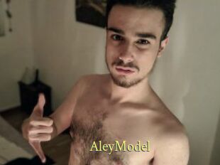 AleyModel