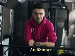 AndiSinner