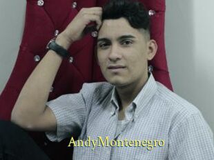 AndyMontenegro