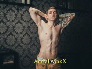 AndyTwinkX