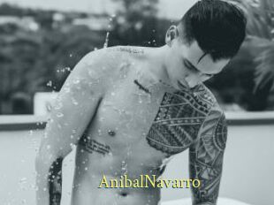 AnibalNavarro