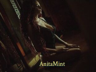 AnitaMint