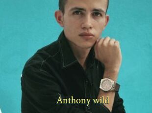 Anthony_wild