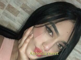 Antonia_sweet