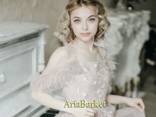 AriaBarket