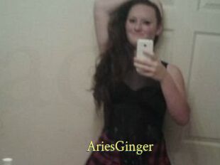 AriesGinger