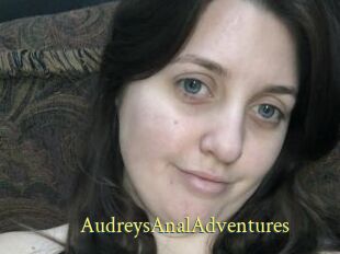 AudreysAnalAdventures