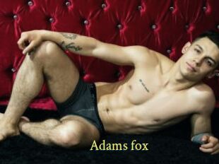 Adams_fox