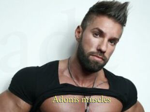 Adonis_muscles