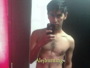 Alejburning