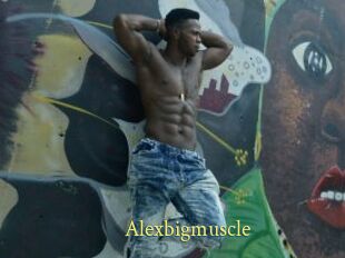 Alexbigmuscle