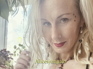 Alicesjungalo