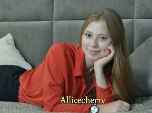 Allicecherry