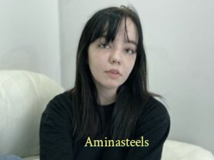 Aminasteels