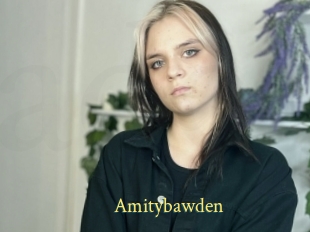 Amitybawden