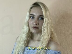 Amitybucker