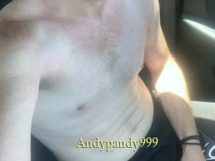 Andypandy999