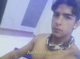 Anthonybigcock