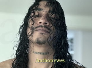 Anthonywes