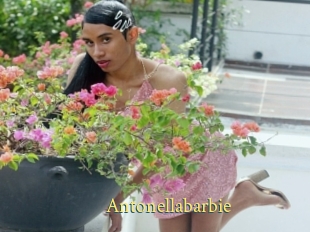 Antonellabarbie
