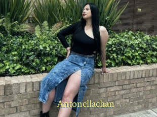 Antonellachan