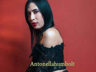 Antonellahumbolt