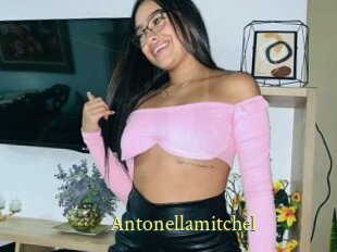 Antonellamitchel