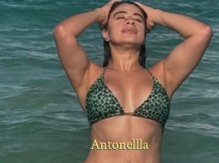 Antonellla