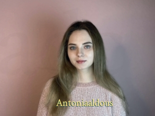 Antoniaaldous