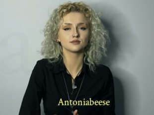 Antoniabeese