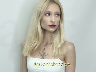 Antoniabracher