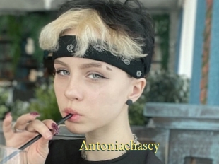 Antoniachasey