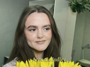 Antoniadudley