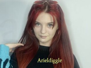 Arieldiggle