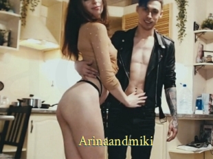 Arinaandmiki