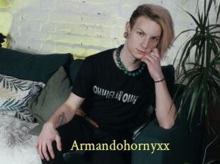 Armandohornyxx