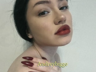 Audreybigge