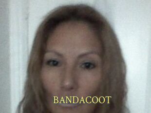 BANDACOOT