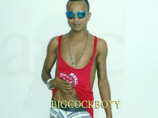 BIGCOCKBOYY