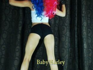 Baby_Harley