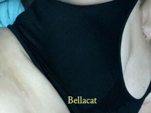 Bellacat