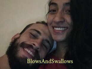 BlowsAndSwallows