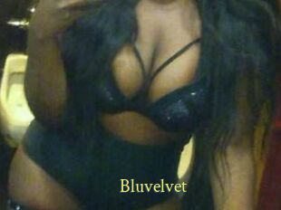 Bluvelvet