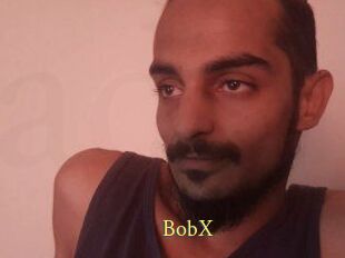 BobX