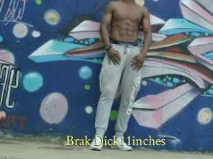 Brak_Dick11inches