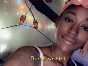 Bre_Shawn2020